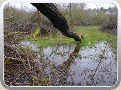 5.2.: berschwemmte Bereiche im Sutschke-Tal